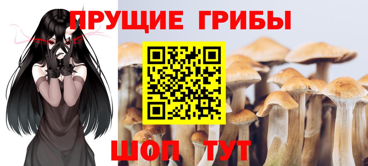 Галлюциногенные грибы прущие грибы  Вход с VPN  Гурьевск 